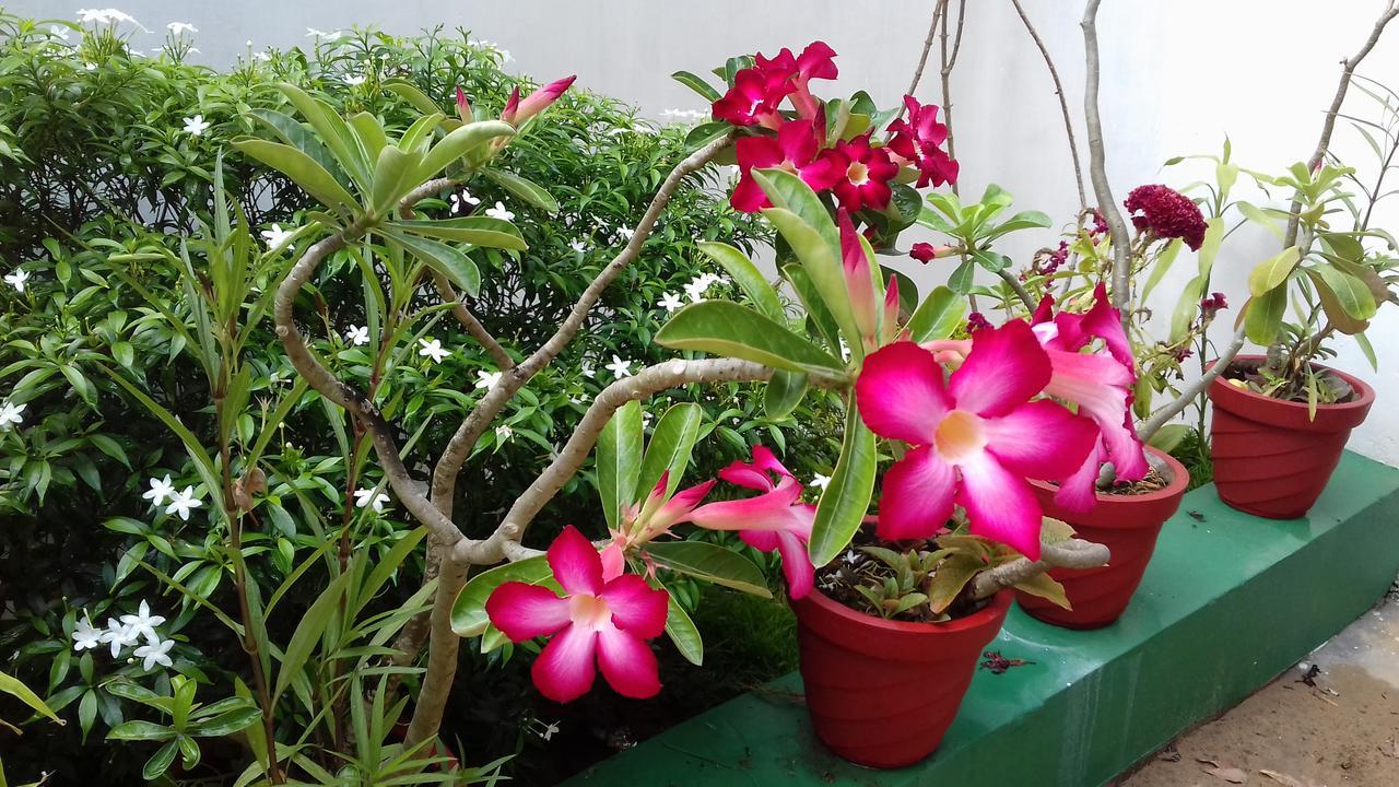 Marari Coastal Dreams Home Stay Alappuzha Extérieur photo