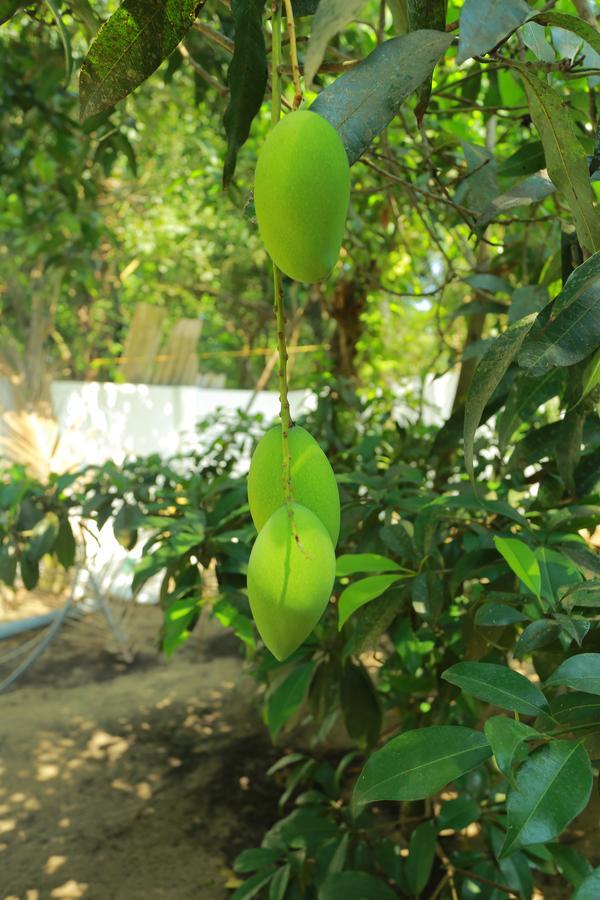 Marari Coastal Dreams Home Stay Alappuzha Extérieur photo