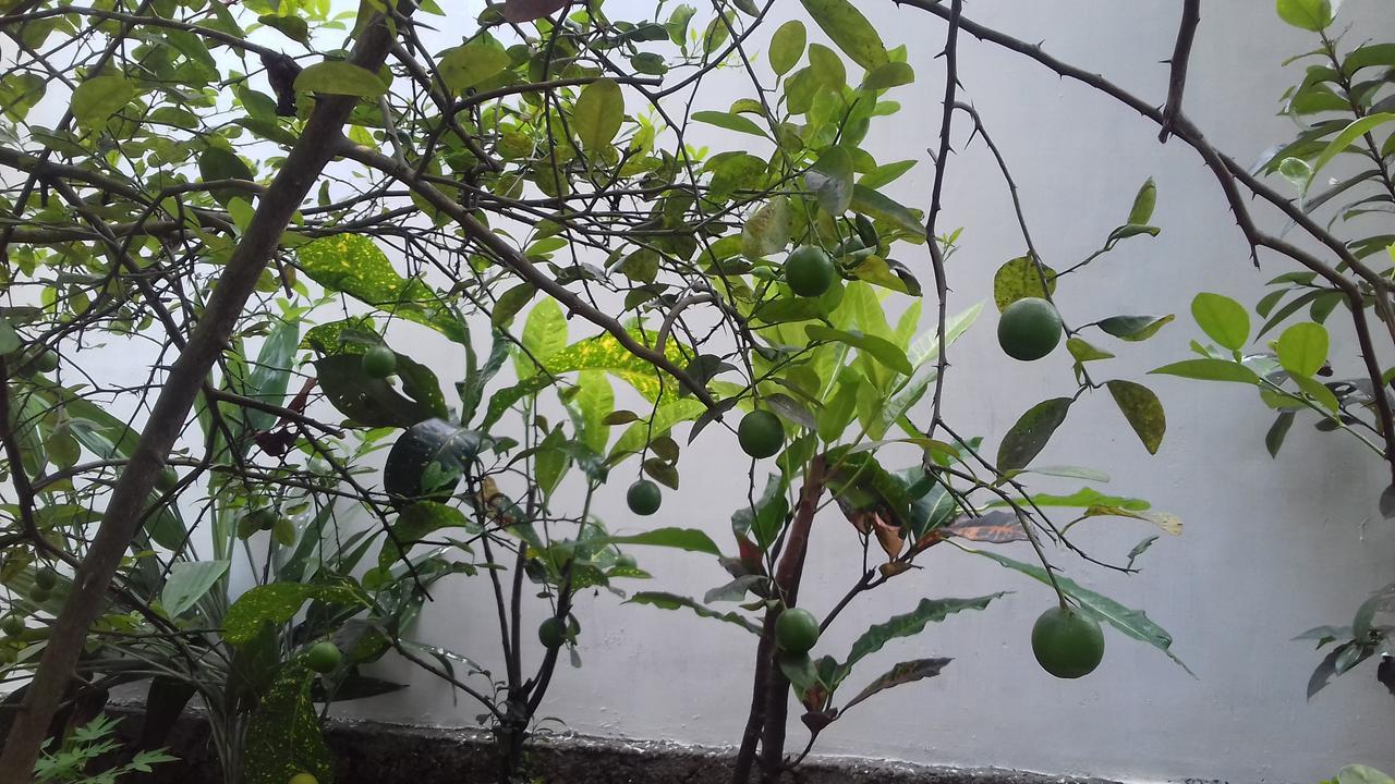 Marari Coastal Dreams Home Stay Alappuzha Extérieur photo